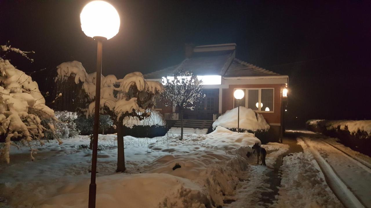 Vila Lola Бела-Црква Экстерьер фото